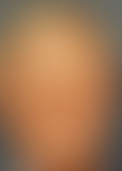 Another Trip Around the Sun: Terry Malloy