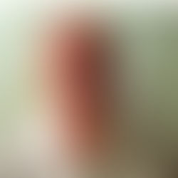 Another Trip Around the Sun: Al Pineda