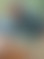 Another Trip Around The Sun: Tom McGovern