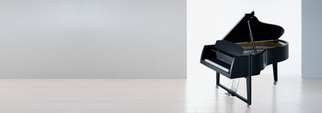 Sauter Vivace