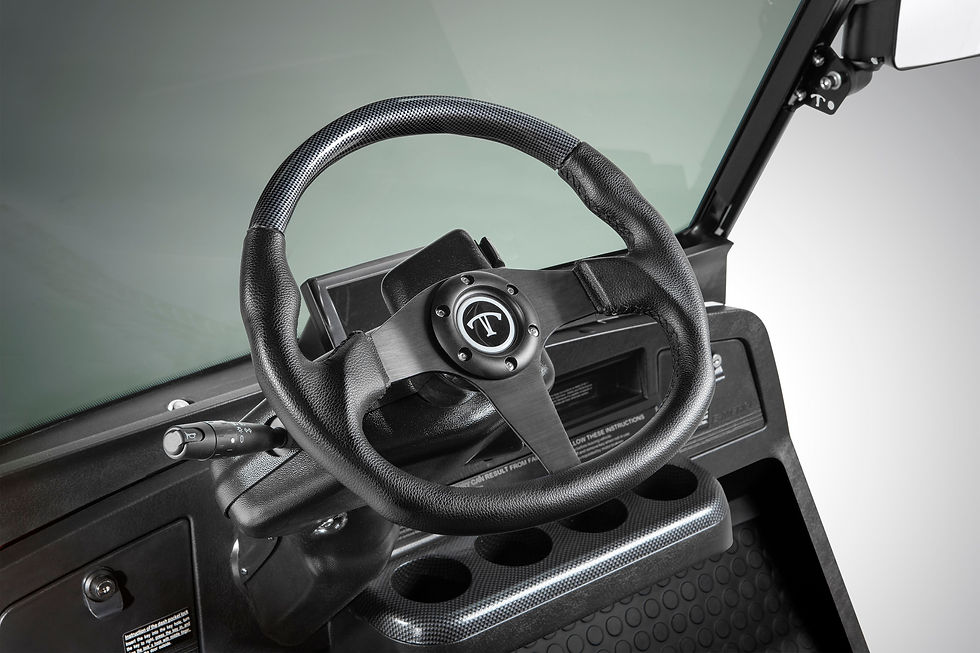 Steering Wheel.jpeg