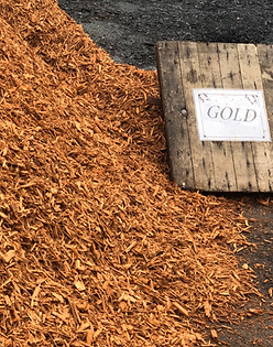 gold reversed