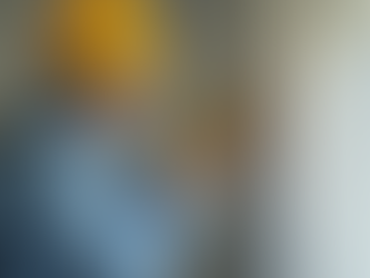 Essential Questions to Ask When Choosing a Mold Inspector to Ensure Safety and Accuracy