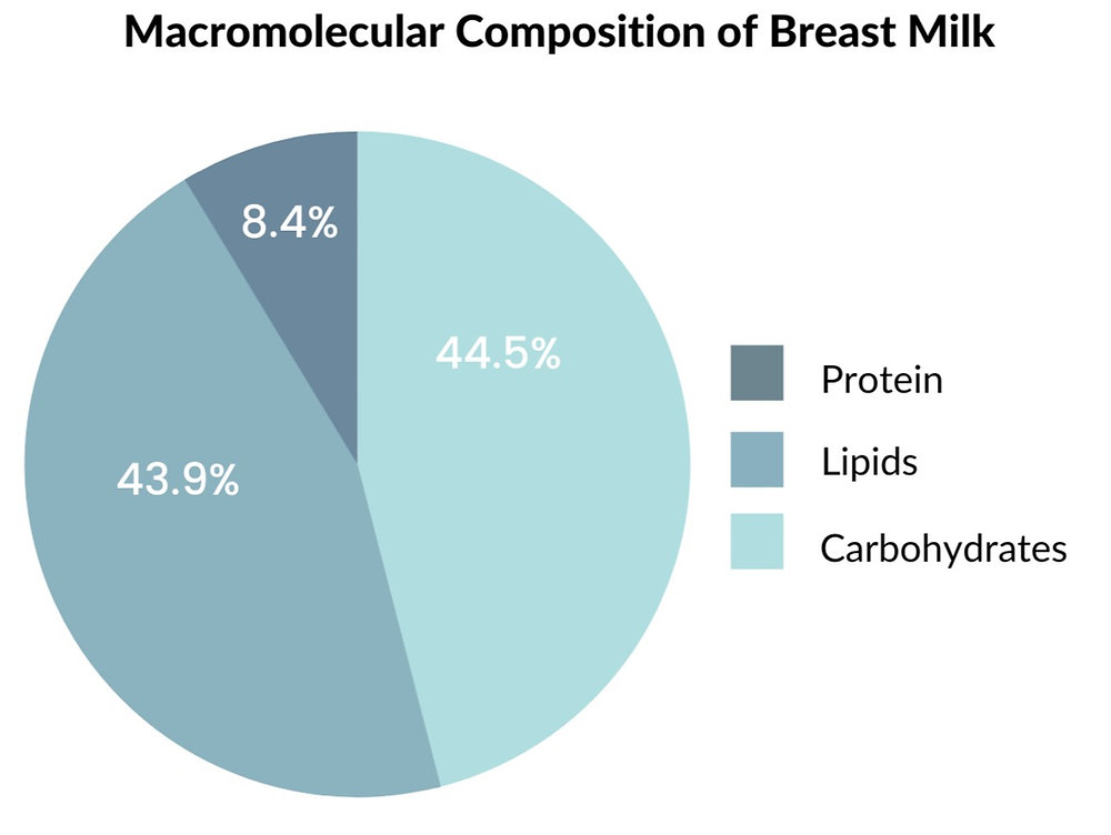 The Second Most Abundant Macronutrient in Breast Milk Lipids