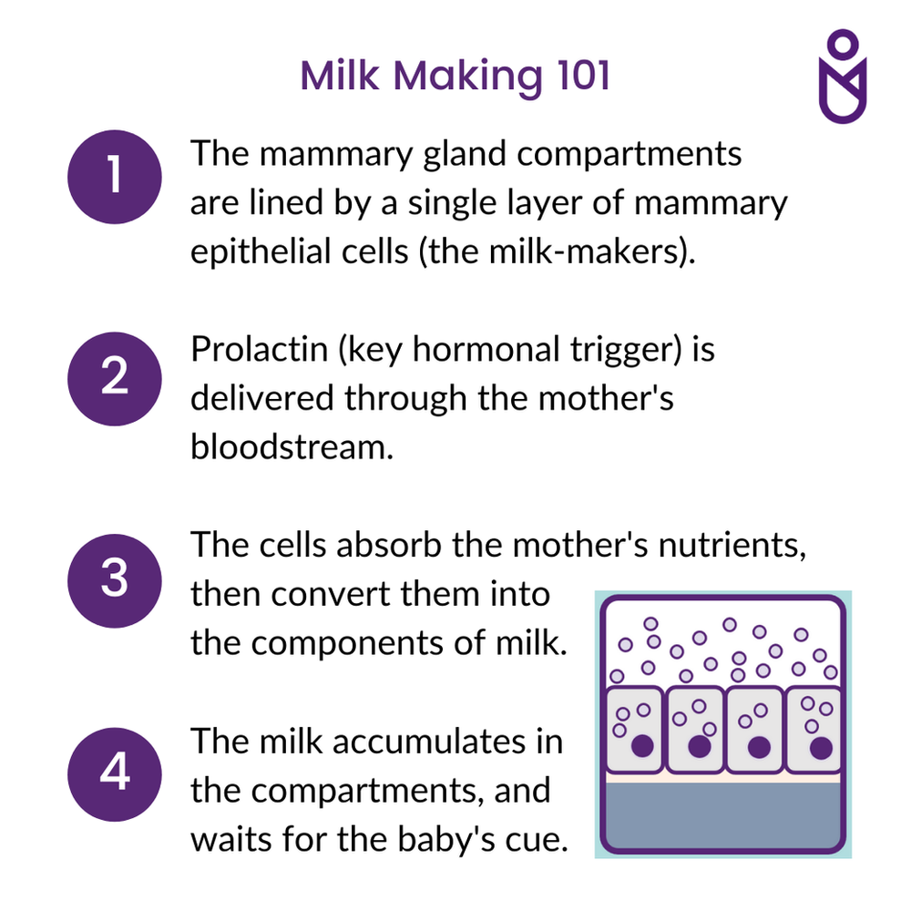 The Making of Mother’s Milk