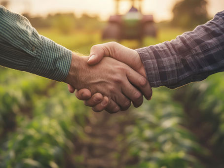 Scotts Wright to merge with fellow Dales firm Hall & Birtles