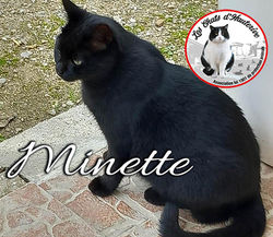 MINETTE