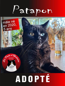 PATAPON