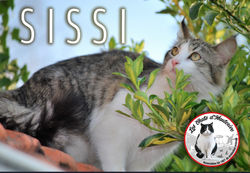 SISSI