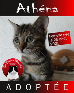 ATHENA