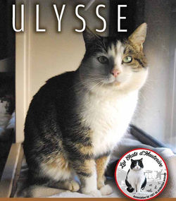 ULYSSE