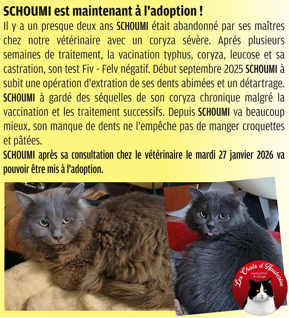 SCHOUMI post parrainage_autosave_24_10_2025_22_43-page001.jpeg