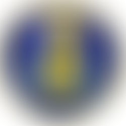 2026 Representative Trials