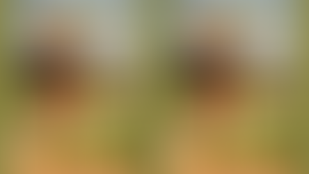 ICYMI: We must protect this house. 🇺🇸