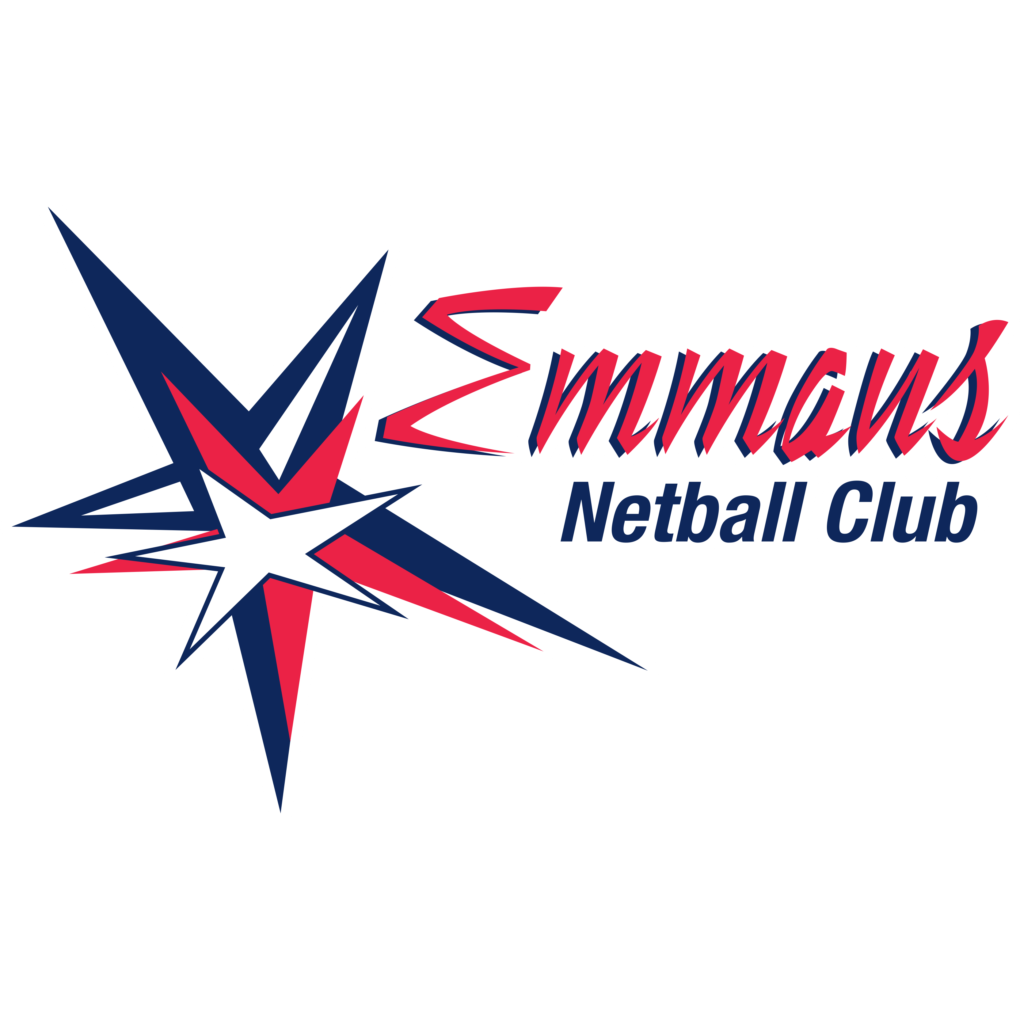 Emmaus Netball Club
