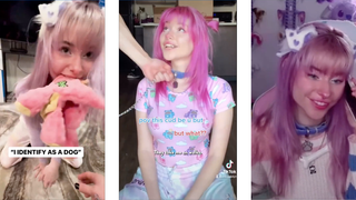 Jesus, Take the Wheel: "I identify as a dog"