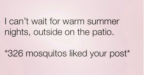 Funniest Things We Saw Today