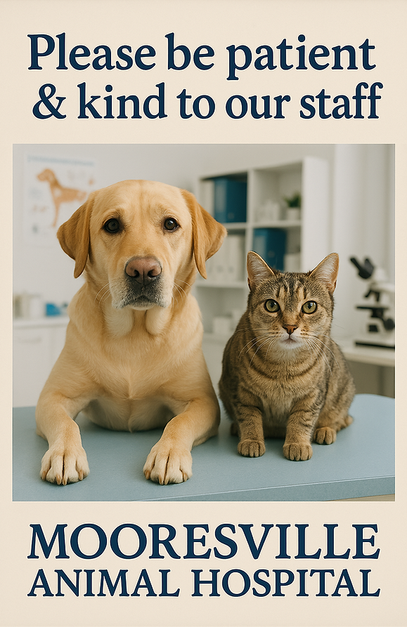 MAH kind pic for website copilot.png