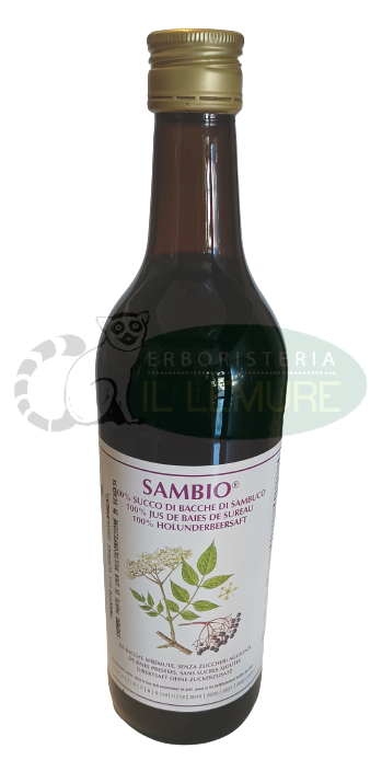 sambio Vegetal Progress