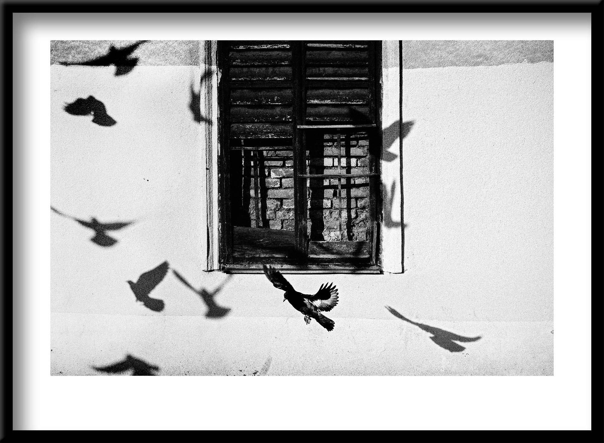 Between Truth and Shadows