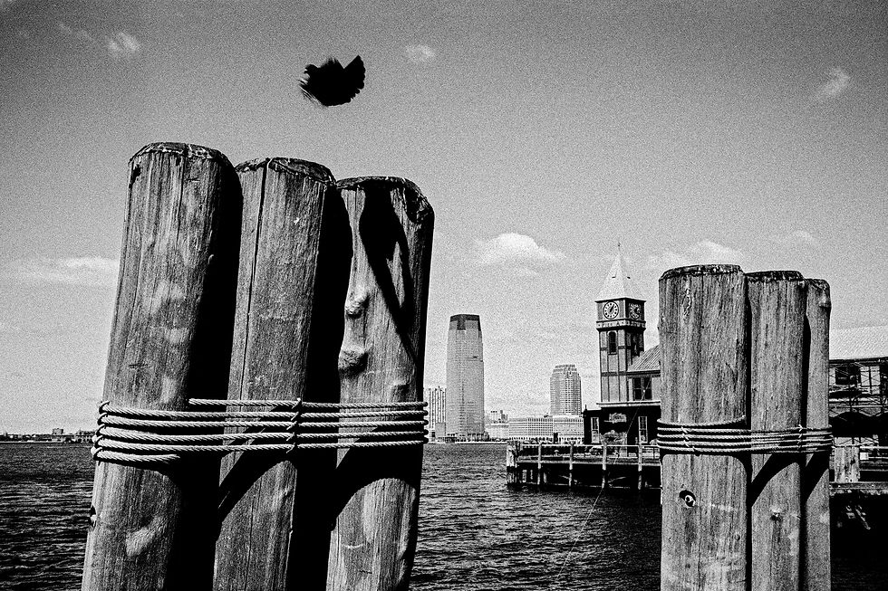 Docking Duck