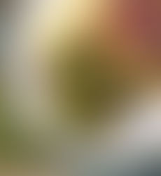 Eu nunca fui carnívora