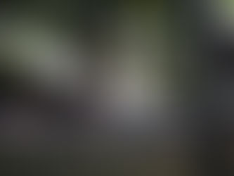 Um, dois, feijão com arroz...