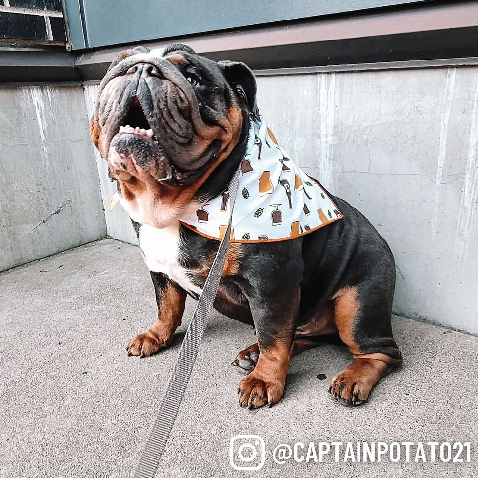 Thumbnail: "Brews" Bandana