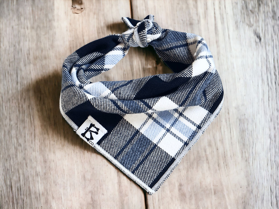 Thumbnail: "Glacier" Flannel Bandana