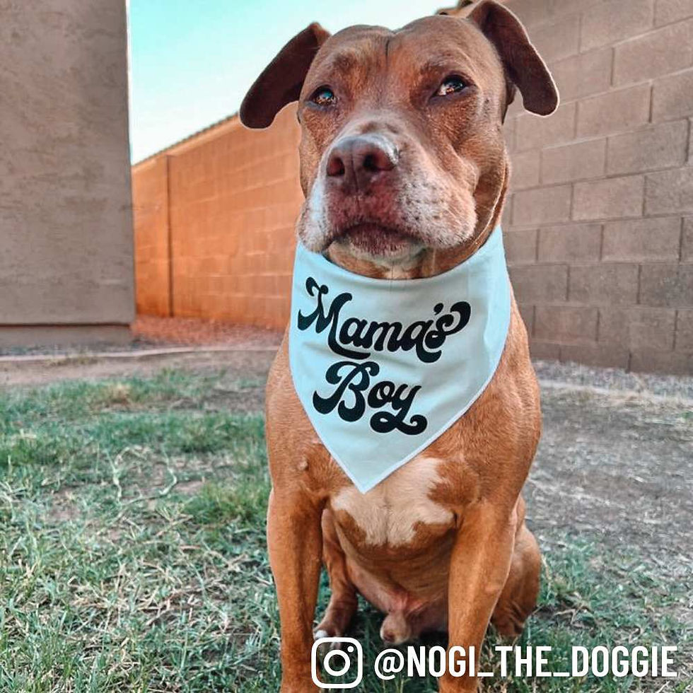 Thumbnail: "Mama's Boy" Bandana