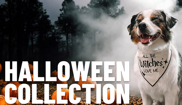 Winter Collection (2) (copy) (copy) (copy) (copy) (copy) (copy) (copy)-Photoroom.png