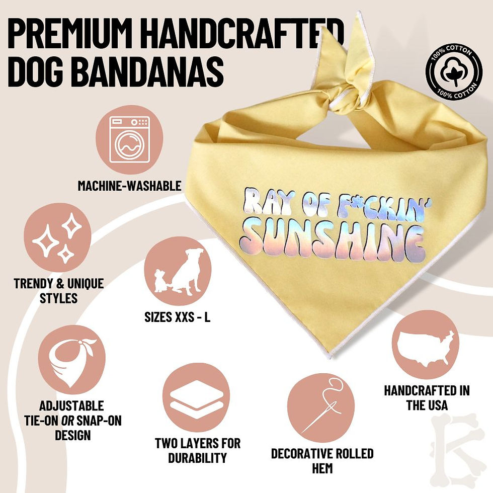 Thumbnail: "Ray of F*ckin' Sunshine" Bandana