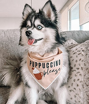 A dog in a bandana that says "Puppuccino Please"