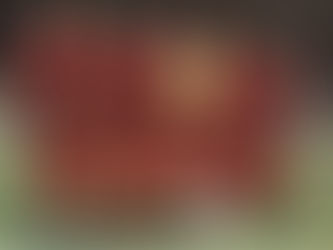 Christophe Galtier, erreur de casting à l'OGCNice qui n'a plus d'entraîneur