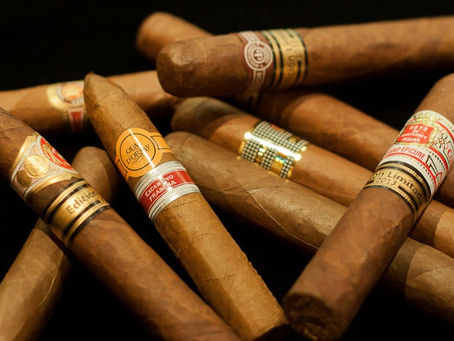 Les stars de l'équipe de France ne sont que des vedettes