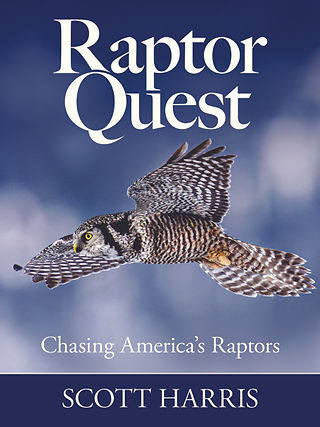 RQ Cover.jpeg
