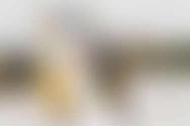 Bridal Makeup in West Palm Beach: Elegance With Beautiful Brides Hair And Makeup