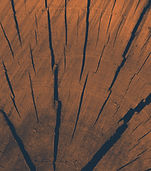 Holzschuhe
