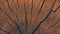 100_5416.JPG
