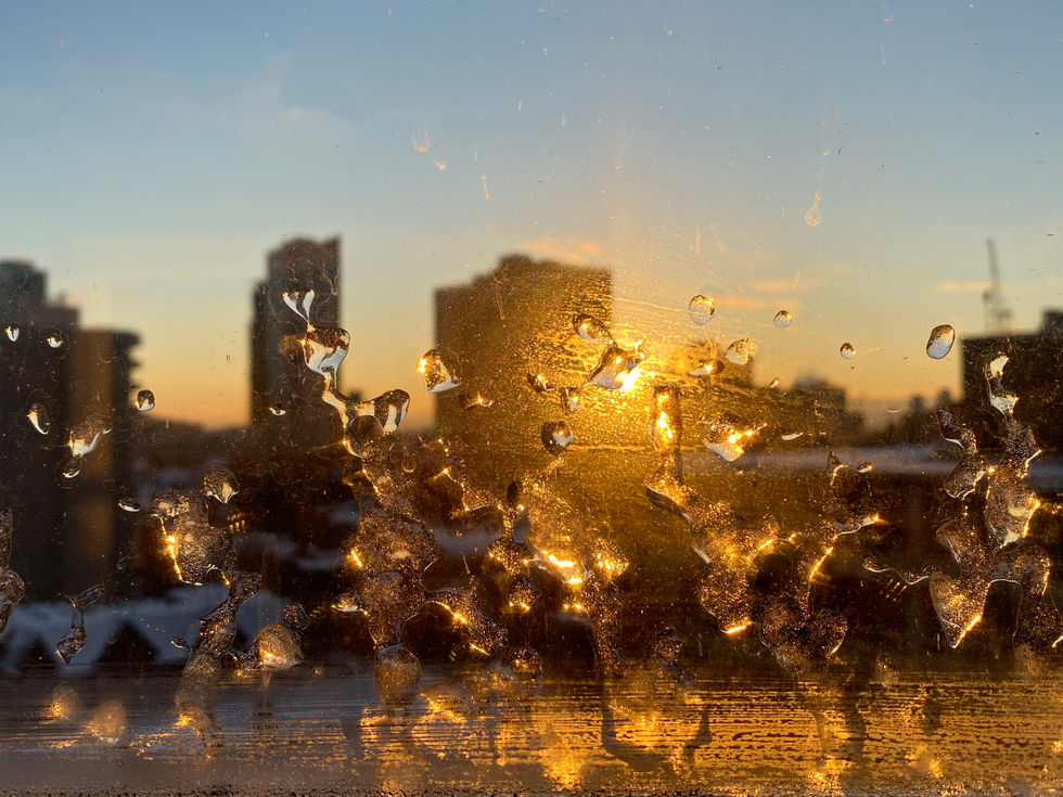 IMG_0087