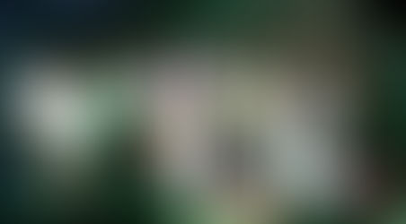 Le single 3 titres "Solidaire" qui sera enregistré par un collectif d'artistes et vend