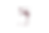 FORMAT EXPEDIA (1).png