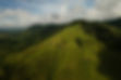 DJI_0927-min.JPG