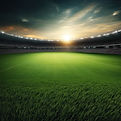 a vast field of inspirational black and white grass, with football lights igniting the dar