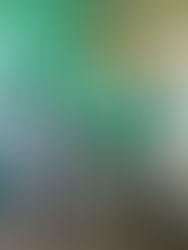 Майстер-клас «Сортуємо сміття правильно»