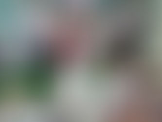 ВИХОВНА ГОДИНА "МИ ДІТИ ТВОЇ, УКРАЇНО"