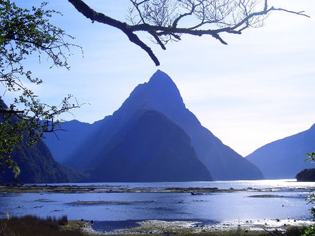 NZの回想録/世界遺産Milford Sound(ミルフォード・サウンド)