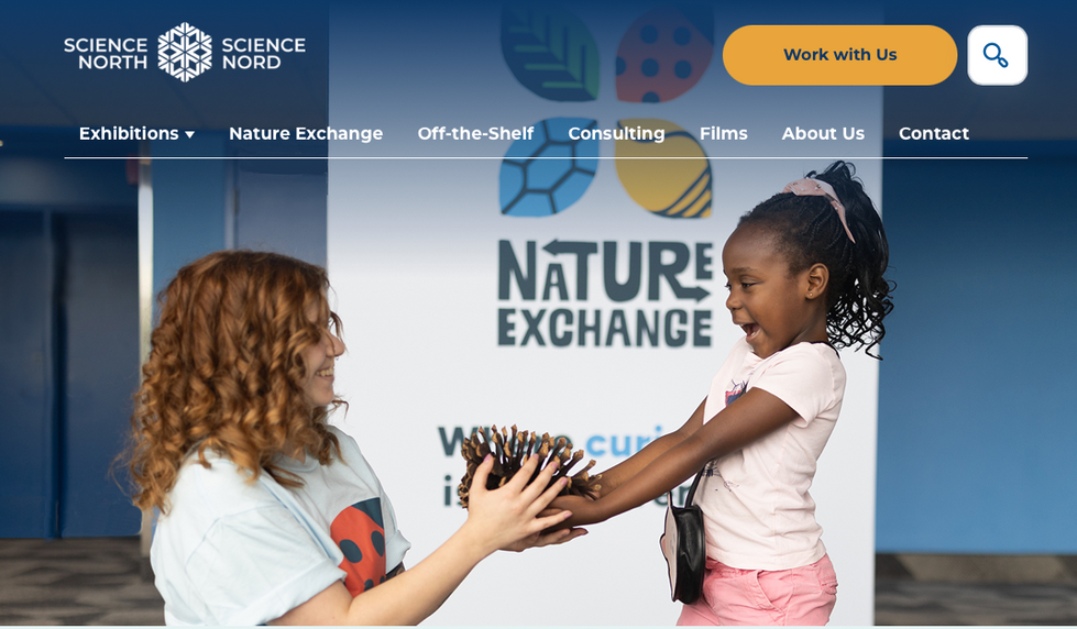 Campaign landing page