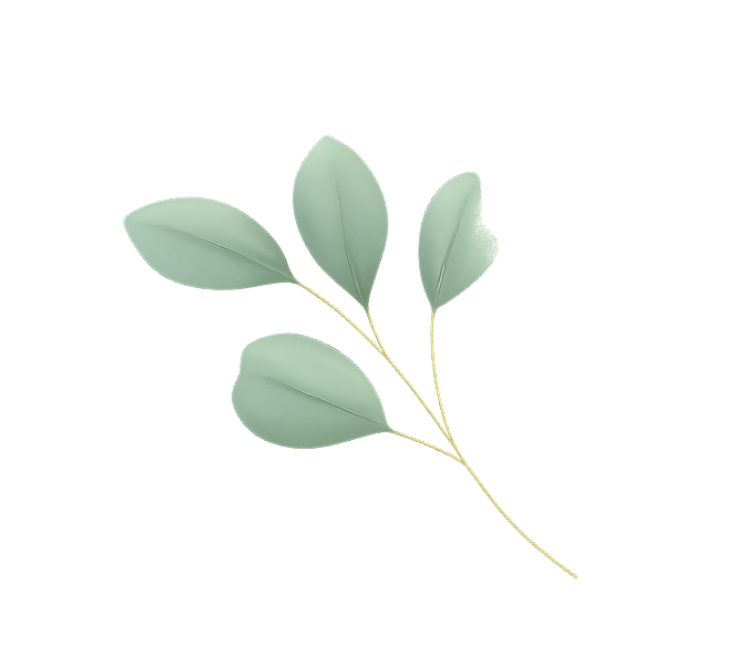 Close-up of a small plant with pale green leaves and a yellow stem