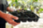 We enhance the Environment